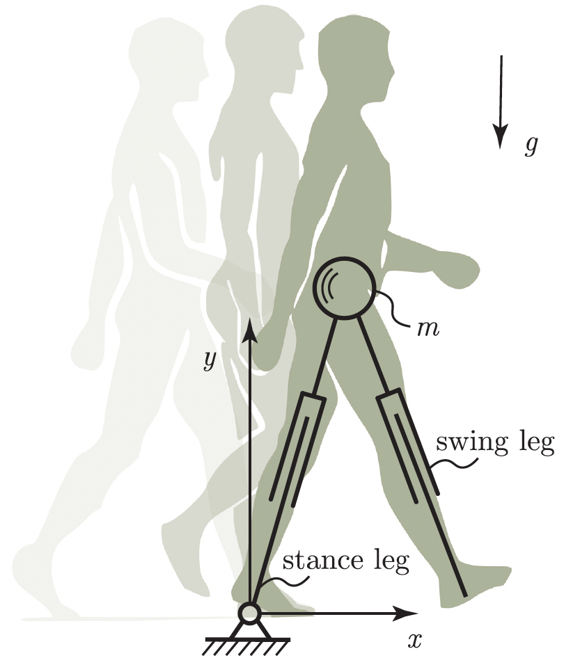 pibed_walking_model_large.png